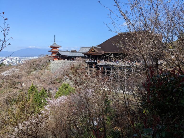 Kyoto 2023 – Sakura Mevsimi: Japon Güzellikleriyle Dolu Bir Deneyim