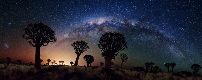 Milky Way Gökyüzü, Ok Ağacı Ormanı Üzerinde [3000×1198]