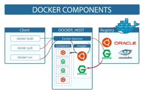 Docker Komponentleri