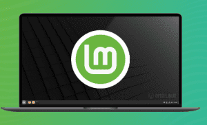 Linux Mint Nedir? Linux Mint Kurulumu Ve İndirme  Adım Adım Rehber