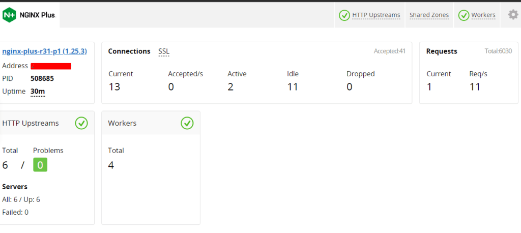 Nginx Plus Kurulumu ve İnstance Manager, ClickHouse Bağlantısı 9